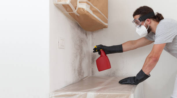 Professional Bathroom Mold Removal technician working in Wyncote, PA